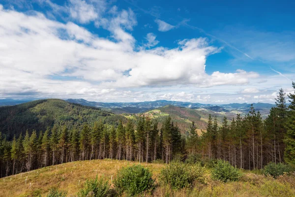 Vizcaya Metsä Vuoristomaisema Baskimaa Espanja — kuvapankkivalokuva