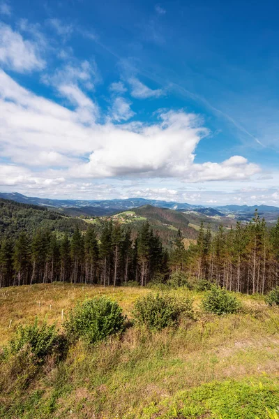 Vizcaya Metsä Vuoristomaisema Baskimaa Espanja — kuvapankkivalokuva