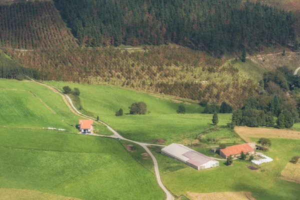 Vizcaya Metsä Vuoristo Maisema Oiz Vuori Baskimaa Espanja — kuvapankkivalokuva