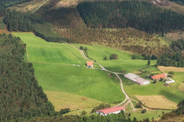Vizcaya Forest Mountain Landscape Oiz Mount Basque Country Spain — Stock Photo, Image