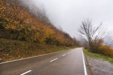Yol sonbahar peyzaj Somiedo doğal Park, Asturias, İspanya.