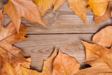 Sonbahar yaprakları ahşap arka planda. Kopya alanı ile birlikte.
