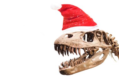 Tyrannosaurus Rex kafa ile boş düşünce ballon boşaltmak izole beyaz zemin üzerine.