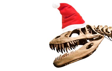 Dinazor iskeleti beyaz izole arka plan üzerinde santa claus şapka ile .