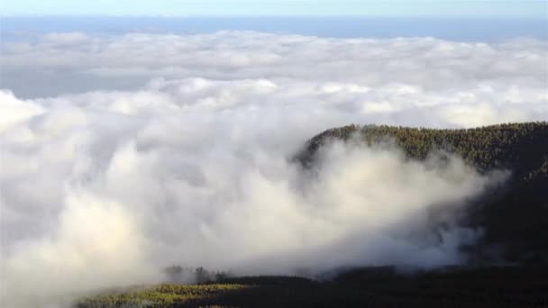 Time Lapse Sea Clouds Moving Forest Teide National Park Tenerife — Stock Video