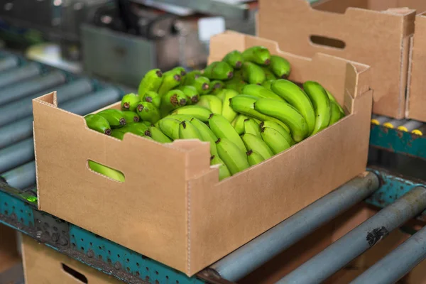 Banana box in packaging chain