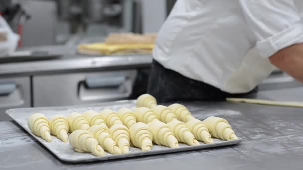 Pastry Chef rolling croissant dough, and putting in a baking tray in the pastry shop. — Stock Video