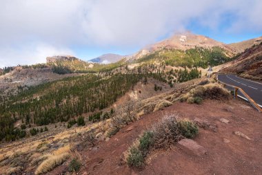 Teide Milli Parkı Tenerife, Kanarya Adaları'nda güzel kayalık volkanik manzara.