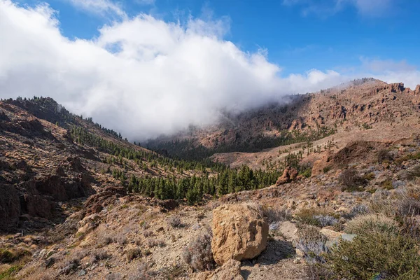 Hermoso paisaje volcánico rocoso en el Parque Nacional del Teide en Tenerife, Islas Canarias . — Foto de Stock