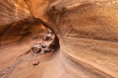 Sahne kireçtaşı kanyonu, Barranco de las Vacas in Gran Canaria, Kanarya adaları İspanya.