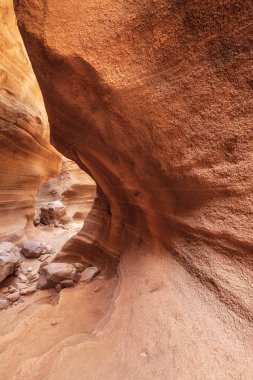 Sahne kireçtaşı kanyonu, Barranco de las Vacas in Gran Canaria, Kanarya adaları İspanya.