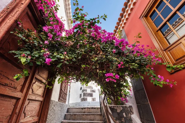 Centro città nel villaggio di Garachico, famosa destinazione turistica a Tenerife, Isole Canarie, Spagna . — Foto Stock