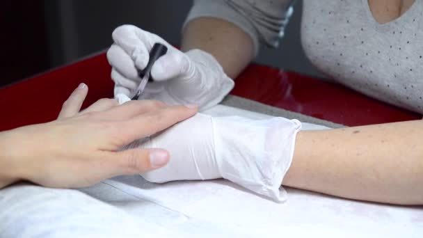 Close up shot of a beutician applying nail polish to female nail at nail salon. — Stock Video