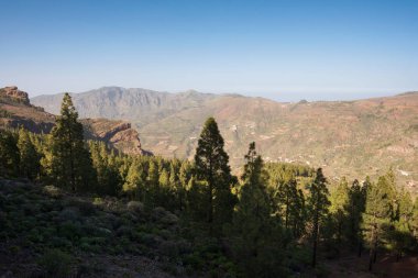 Manzara mountanious manzara Grand Kanarya, Kanarya Adaları, İspanya.