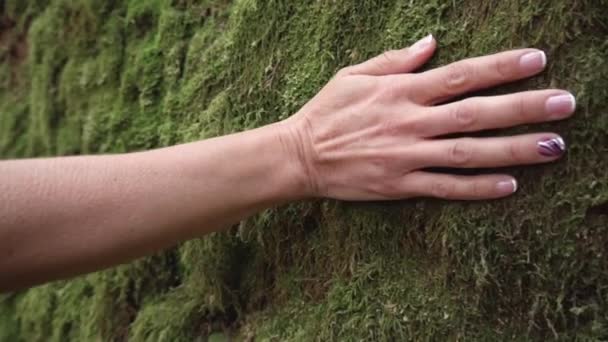 Slow motion of woman hand touching softly the moss on the wall in the tropical rainforest.