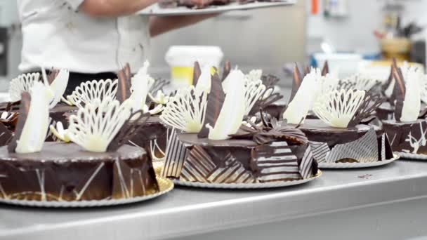 De chef van het gebakje versieren van verschillende taarten in de keuken van de patisserie. — Stockvideo