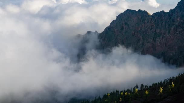 Sea of clouds in mountainous landscape in teide national park, tenerife, Spain. — Stock Video