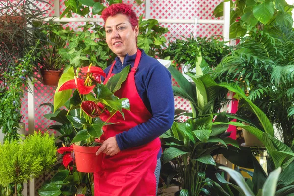 Mutlu kadın çiçekçi, düzenlemeler yapma ve kameraya gülümseyerek. küçük işletme Çiçekçi dükkanı sahibi.