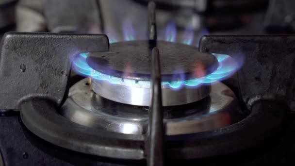 Blaue Gasflammen, brennendes Gas, Küchenherd. — Stockvideo