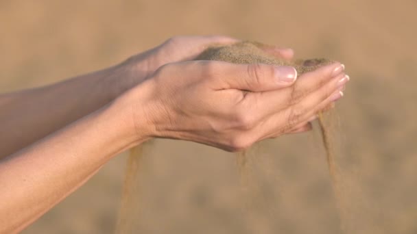 En cámara lenta de cerca, las manos de mujer irreconocibles agarran un puñado de arena seca y la dejan caer entre sus dedos. Joven viajero juguetón en una playa soleada en Canarias . — Vídeos de Stock