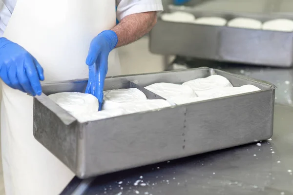 Mujer trabajadora preparando masa cruda de queso en moldes — Foto de Stock