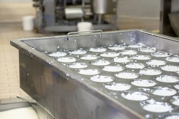 Indústria alimentar. Fermentação do queijo em um tanque de aço inoxidável . — Fotografia de Stock
