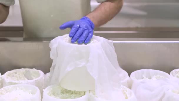 Indústria de produção de queijo. Trabalhadores de laticínios fechar-se preparar massa crua de queijo em moldes. — Vídeo de Stock