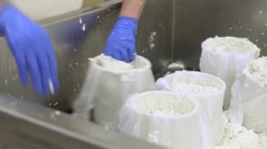 Peynir üretim endüstrisi. Süt işçileri peyniri çiğ hamurla kaplayıp kalıba döker..