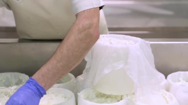 Industrie fromagère. Les travailleurs laitiers ferment la préparation de la pâte crue au fromage dans des moules. — Video