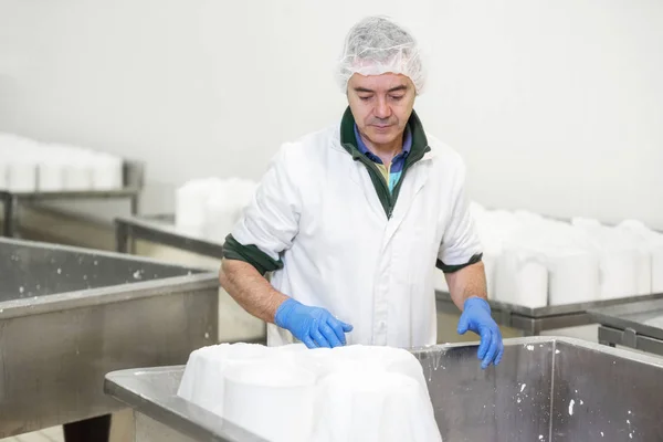 奶酪生产行业。工人特写准备奶酪生面团成模具. — 图库照片