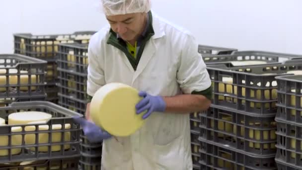 Bonito cheesemaker está verificando queijos tempero na fábrica de laticínios em vídeo 4k UHD . — Vídeo de Stock