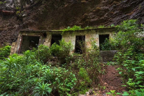 Casas abandonadas en bosque tropical Badajoz barranco de Badajoz Tenerife, Islas Canarias, España . — Foto de Stock