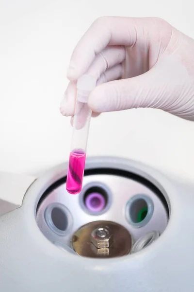 Pesquisador usando equipamentos de laboratório, colocando tubo de amostra na máquina de centrífuga para fazer o teste de laboratório . — Fotografia de Stock