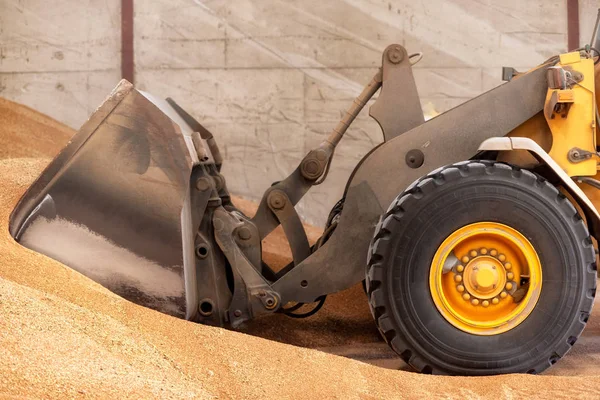 Chargeuse sur pneus gros plan, pelleteuse chargeant du sable sur le chantier . — Photo