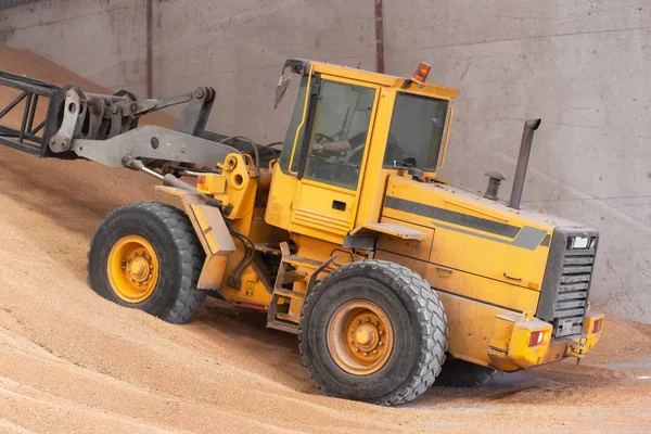 Wheel loader working at grain wheat warehouse. Agriculture industry. — Stock Photo, Image