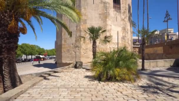 Torre del Oro Gold tower, famoso punto di riferimento a Siviglia, Spagna . — Video Stock