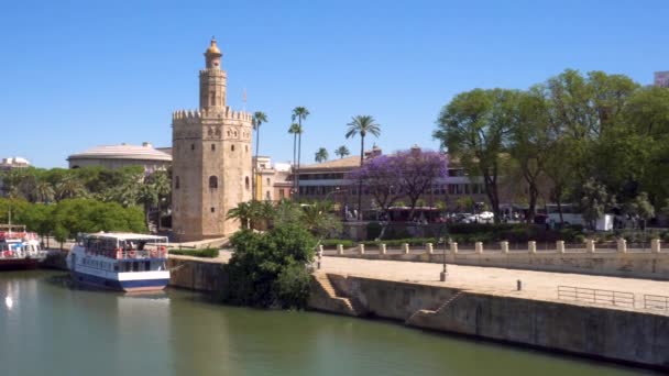 Sevilla stadsbilden Pan Shot. Torre del oro och Guadalquivir-floden, Andalusien, Spanien. — Stockvideo