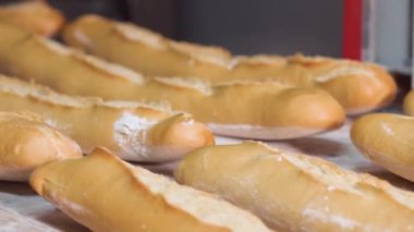 Fırında pişmiş ekmek somun, sadece güzel bir altın rengi ile fırından bir konveyör bant boyunca hareket eder. Beyaz ekmek üretimi.