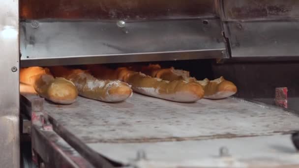 Baked loaf of bread in the bakery, just out of the oven with a nice golden color moves along a conveyor belt. Production of white bread. — Stock Video