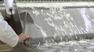 Süt fabrikası işçisi inox tankında lor işleme. Peynir üretim süreci.