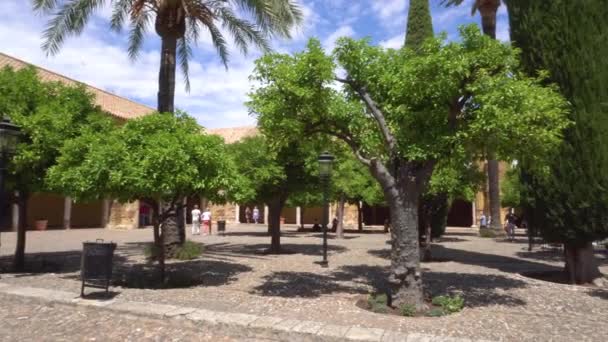 Panning van de binnenplaats, patio de Los Naranjos, van de moskee van Cordoba, Andalusië, Spanje. — Stockvideo
