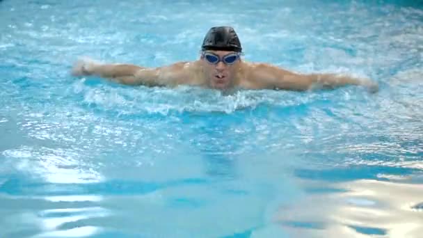 Nadador masculino fazendo golpe de borboleta durante o treinamento em piscina, câmera lenta. — Vídeo de Stock