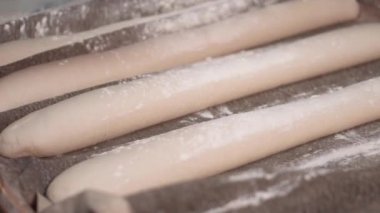 Fırıncılık sonraki aşamasına fırın üretiminde pişmemiş hamur somun satır toplama Baker.