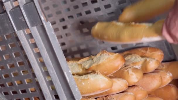 Bäcker füllt eine Kiste mit frisch gebackenen Brotlaiben direkt aus dem Ofen. Herstellung von Brot. — Stockvideo