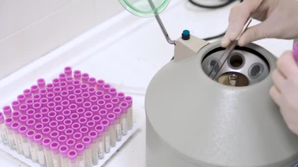 Moderne laboratoriumapparatuur centrifuge voor bloedonderzoek en arts handen in handschoenen nemen buizen. — Stockvideo