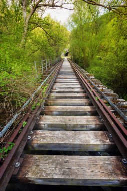 Yemyeşil bitki örtüsü ile çevrili terk edilmiş demiryolu köprüsü.
