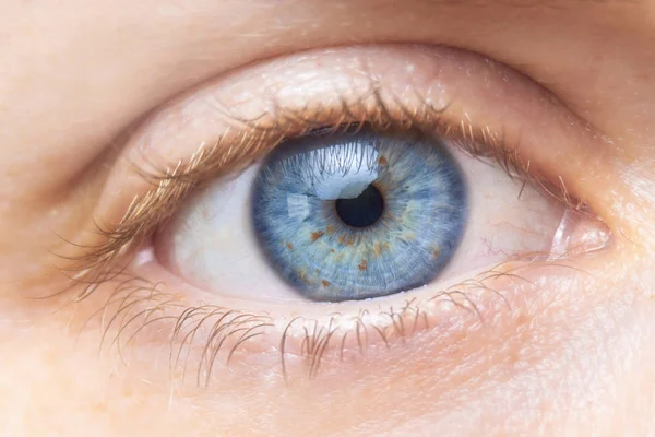 Красивый синий цвет женский глаз макрос . — стоковое фото
