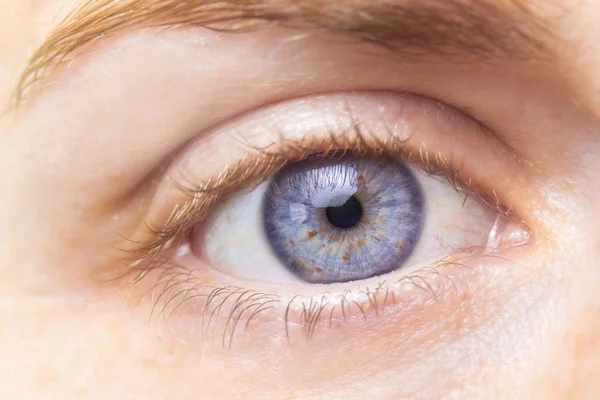 Красивый фиолетовый женский глаз. Макро. — стоковое фото