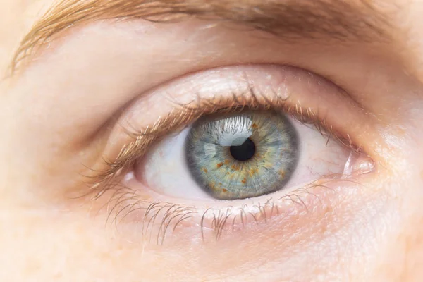 Hermoso ojo de mujer verde de cerca. Macro. —  Fotos de Stock