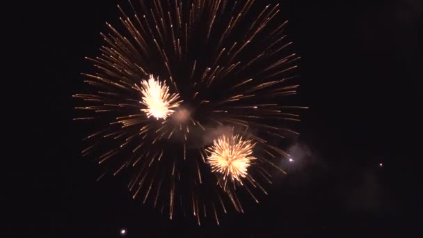 Colorido espectáculo de fuegos artificiales para la celebración. — Vídeo de stock